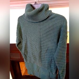 Green turtleneck sweater from the limited
